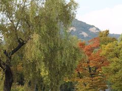 -景福宫