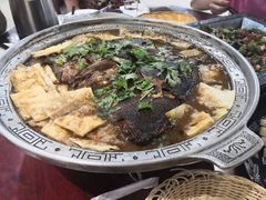 -邵年鸽(杨庄店)