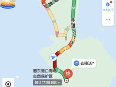 -广东惠东海龟国家级自然保护区