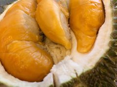 -都念榴莲·城市榴莲