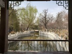 -桃花堤公园