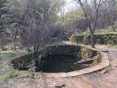 -杭州半山国家森林公园