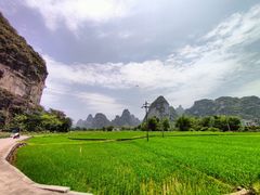 -明仕田园