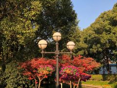 -西郊宾馆·1921餐厅