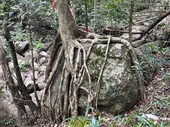 -七仙岭温泉国家森林公园