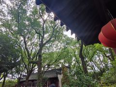 -天一阁博物院