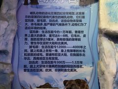 -中国第四纪冰川遗迹陈列馆