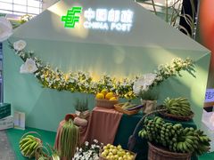 -南宁国际会展中心(会展东博文化旅游区)