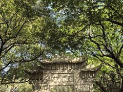 -灵岩山风景区