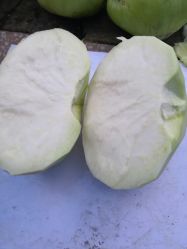 -Oasis Beauty水磨坊科技美肤中心