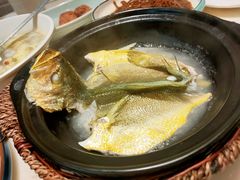 泉水黄花鱼-锦園(伊势丹美食城店)