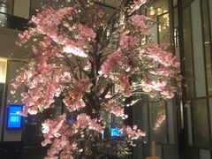 -成都安仁福朋喜来登酒店