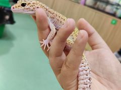 -藦茜花园宠物主题亲子互动体验馆(国顺东路店)