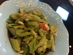 -丁老爷子苏香圆