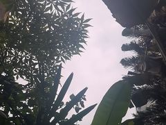-都氏家DUSJOY(翡翠城店)