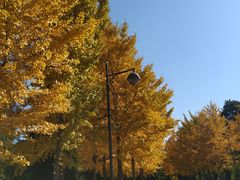 -中家鑫园温泉酒店鑫悦汤泉