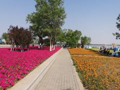 -武清南湖绿博园