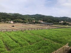 -红山村