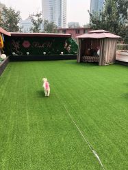 -Pink You美甲美睫纹绣定制中心