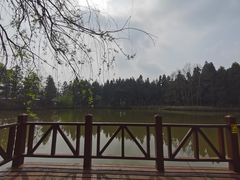 -东平国家森林公园