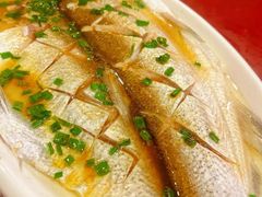 -呼吸森林·生态农庄农家乐私房菜