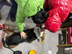 -阿尔法海鲜排档(爱琴海店)