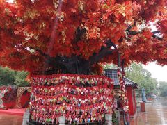 -芜湖方特东方神画