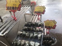 -蚝专家(北滘店)