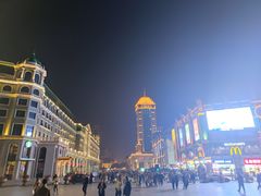 -人民防洪胜利纪念塔