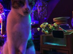 -星宿秘码(鼓浪屿老店)