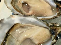 -Oyster Talks 四度蚝法餐厅