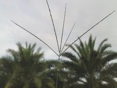 -木屋烧烤(惠阳华润小径湾店)