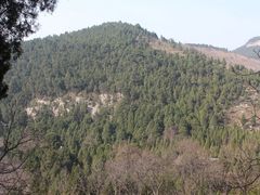 -四门塔风景区