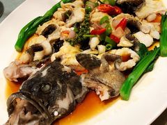 鲜花椒蒸老虎斑-Yan Ting 宴庭中餐厅(上海静安瑞吉酒店)