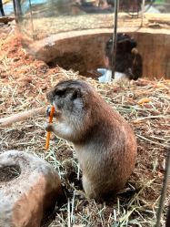 -Zoolung Zoolung动物主题公园(海信广场店)