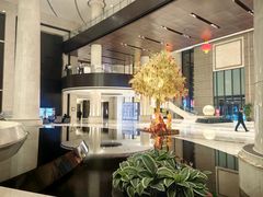 -新都绿城喜来登酒店大堂吧