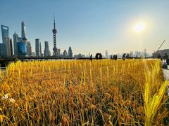 -北外滩滨江绿地