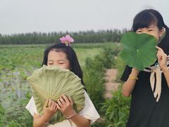 -西青郊野公园