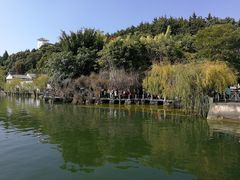 -南诏风情岛