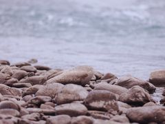 -白河湾生态旅游一条川