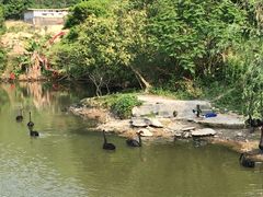 -泉州海丝野生动物世界