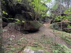 -汤旺河林海奇石景区