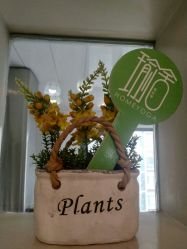 点击看大图 -瑜舍瑜伽连锁教室