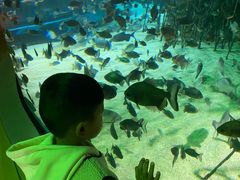 -福州罗源湾海洋世界旅游区