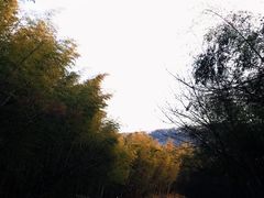 -南山风景名胜区