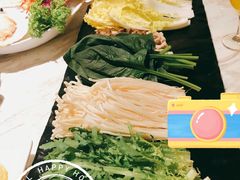 -汤城·料青山
