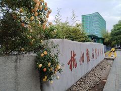 -杭州观成实验学校