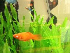 iphone_upload_pic-Gloria Jean's Coffees