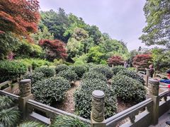 -十八棵（老龙井）御茶园(老龙井店)