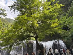 -刘伯温故里景区百丈漈